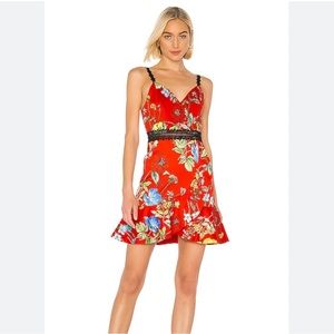 Alice & Olivia Kirby Seine Garden Ruffled Floral Mini Dress